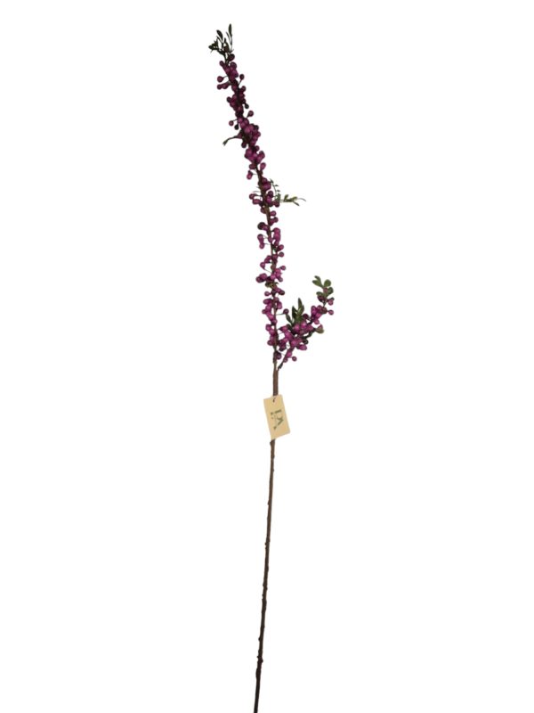 long fine berry bottel purple, 122cm (Leverbaar augstus)