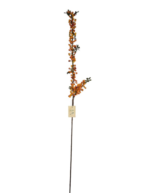 long fine berry bottel orange, 122cm (Leverbaar augstus)