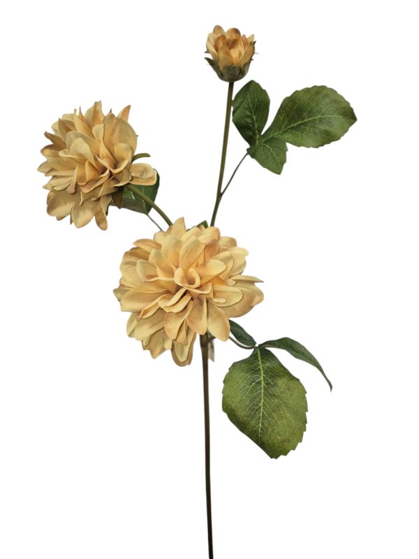 Dahlia 2 flowers, 1 buds, Light orange, 72cm (Leverbaar augstus)