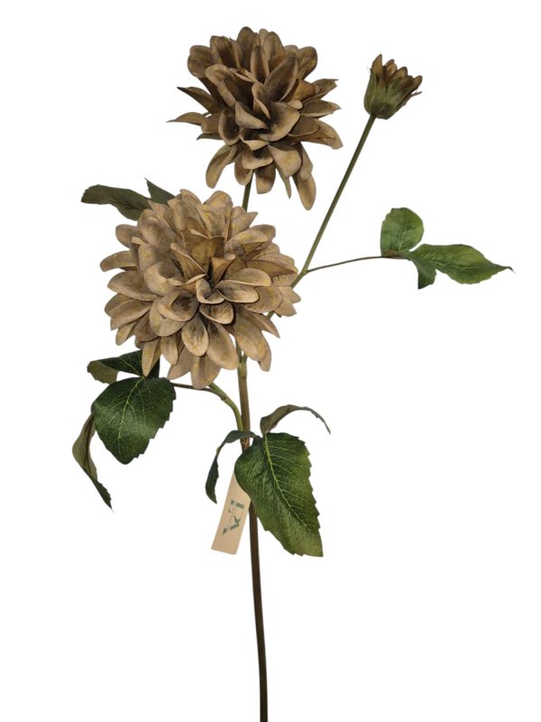 Dahlia 2 flowers, 1 buds, Coffee color, 72cm (Leverbaar augstus)