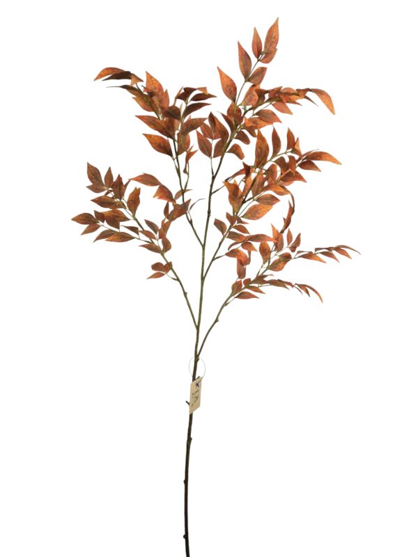 Nandina Leafe, Dark Orange, 110cm (Leverbaar augstus)