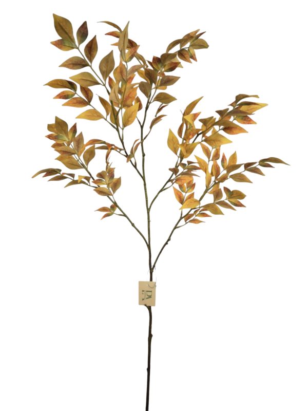 Nandina Leafe, orange, 110cm (Leverbaar augstus)
