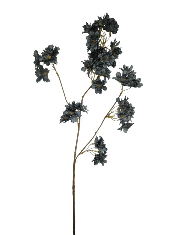Prunus Pandora, black/grey, 85cm (Leverbaar augstus)