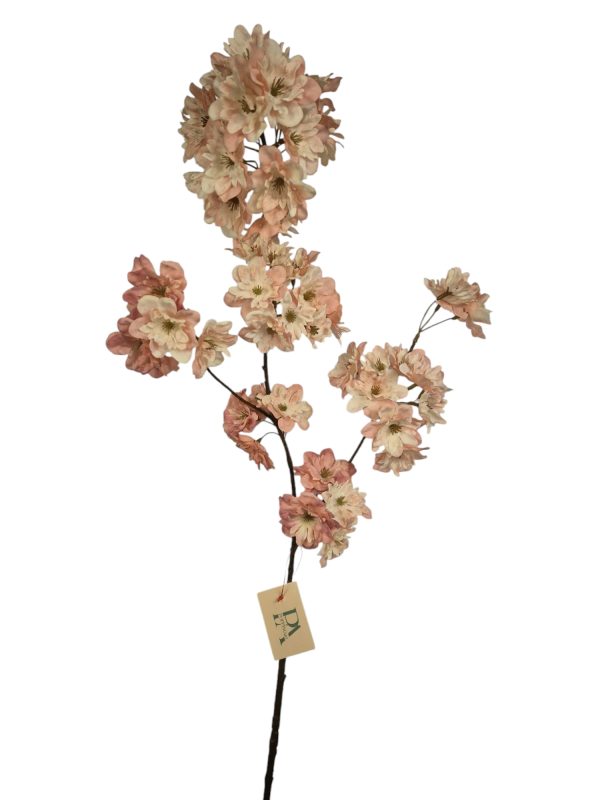 Prunus Pandora, Light pink, 85cm (Leverbaar augstus)