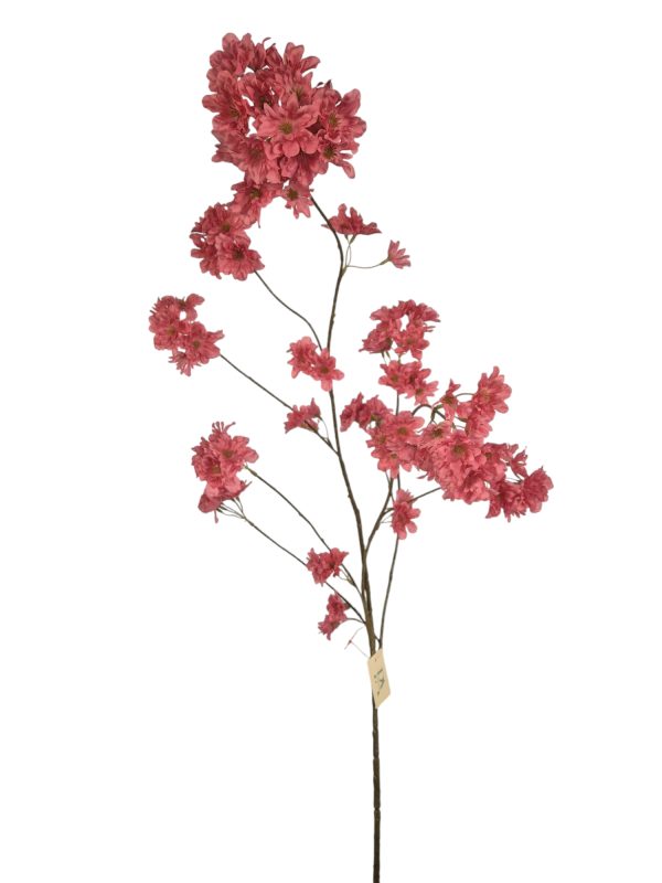 Prunus Pandora, Hot Pink, 128cm (Leverbaar augstus)