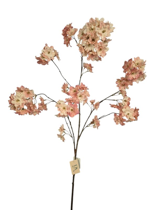 Prunus Pandora, light pink, 128cm (Leverbaar augstus)