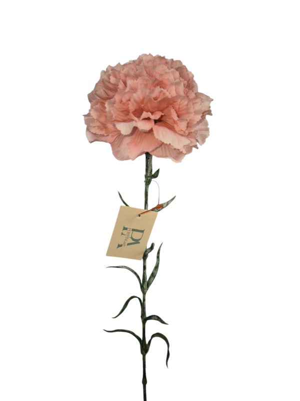 Dianthus, anjer pink, 68cm (Leverbaar augstus)