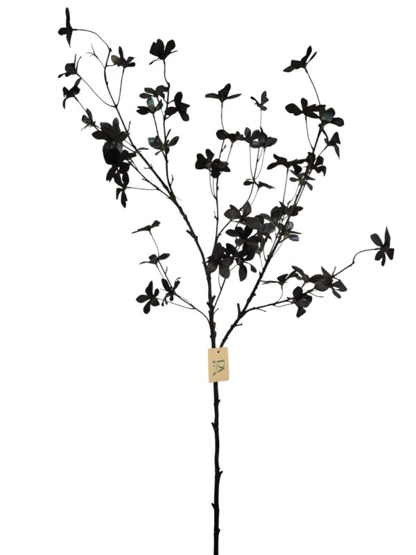 Popping-Leaf, Diamond Black, 125cm (Leverbaar augstus)