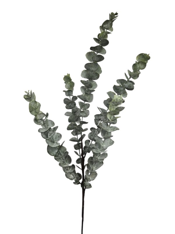 Eucalypthus, Real touch, Grey, 75cm