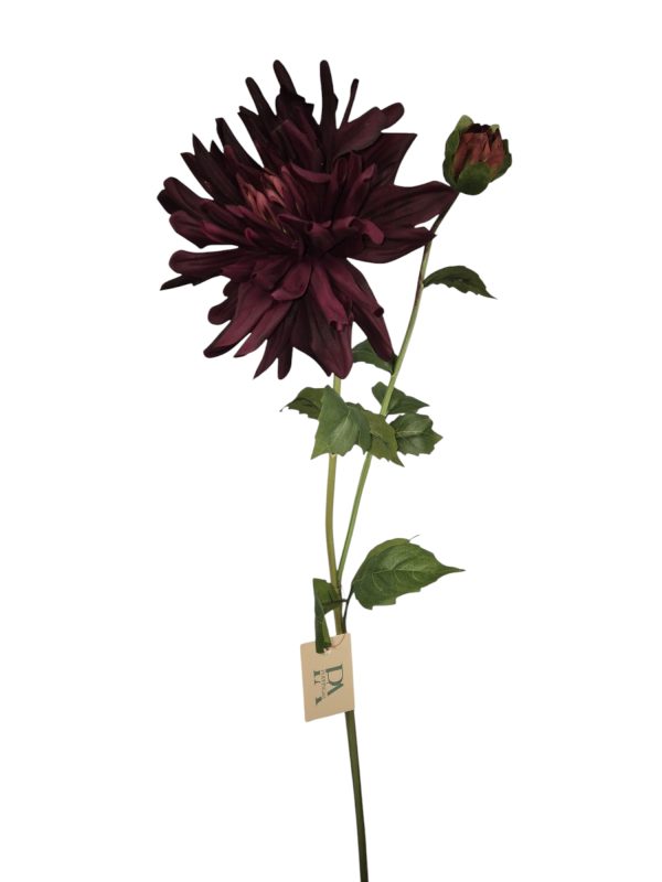 Dahlia Yarra, Bordeaux, Real touch, 78cm (Leverbaar augstus)