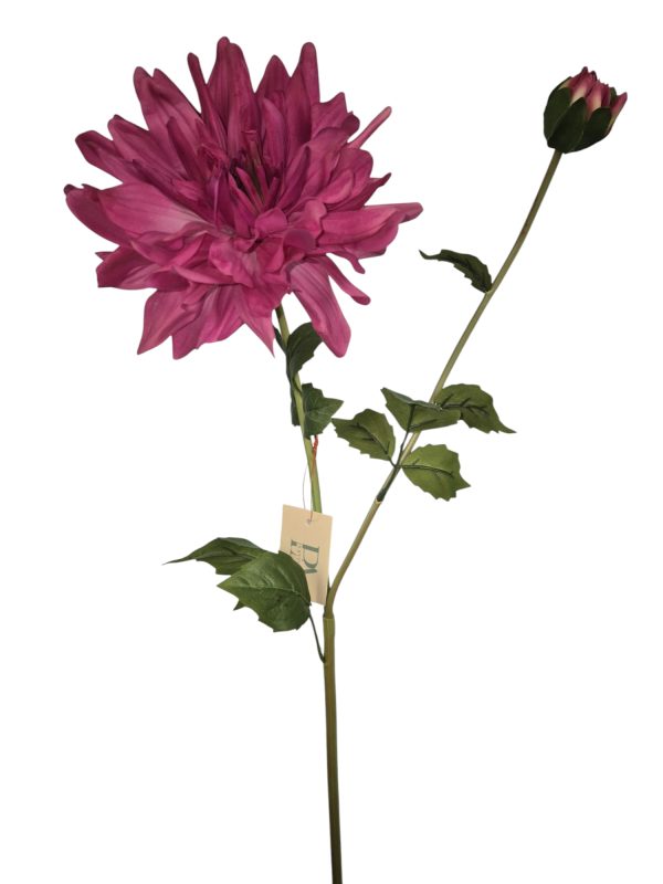 Dahlia Yarra, Real Touch, Hot Pink, 78cm (Leverbaar augstus)
