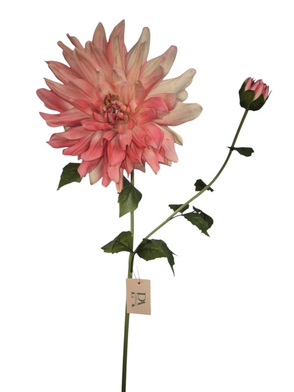 Dahlia Yarra, Real Touch, Pink, 78cm (Leverbaar augstus)