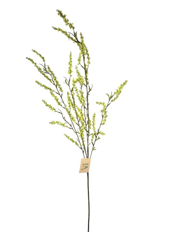Bruidsbloem, Light Green, 107cm. (Leverbaar augstus)