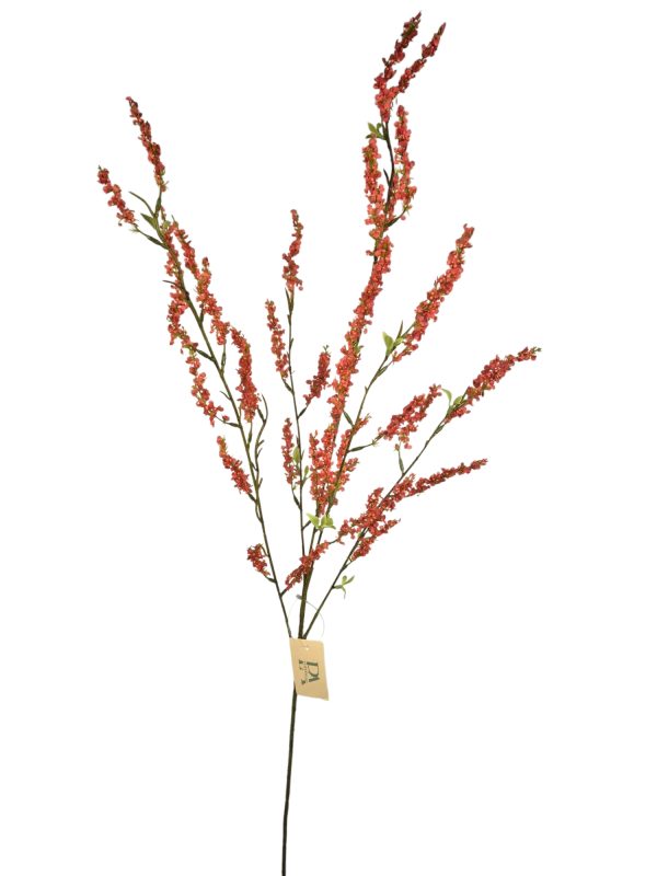 Bruidsbloem, Hot Pink, 107cm. (Leverbaar augstus)