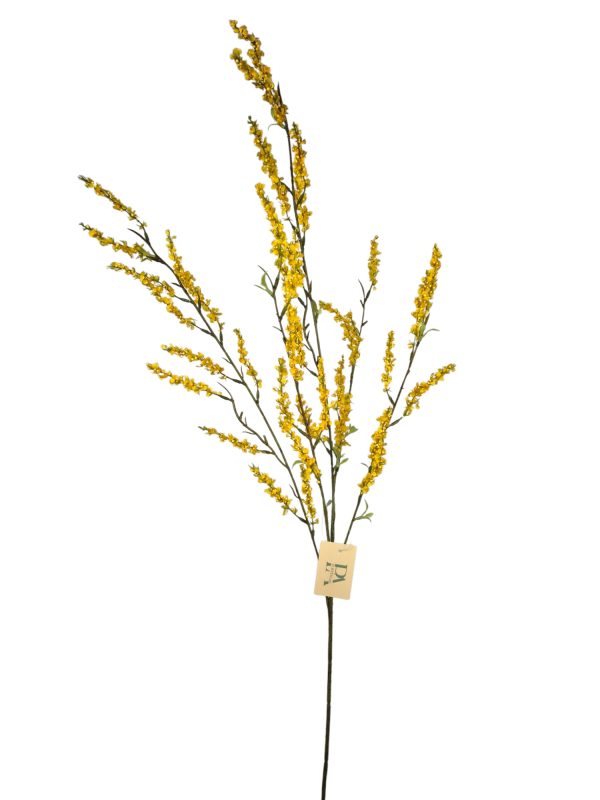 Bruidsbloem, Orange, 107cm. (Leverbaar augstus)