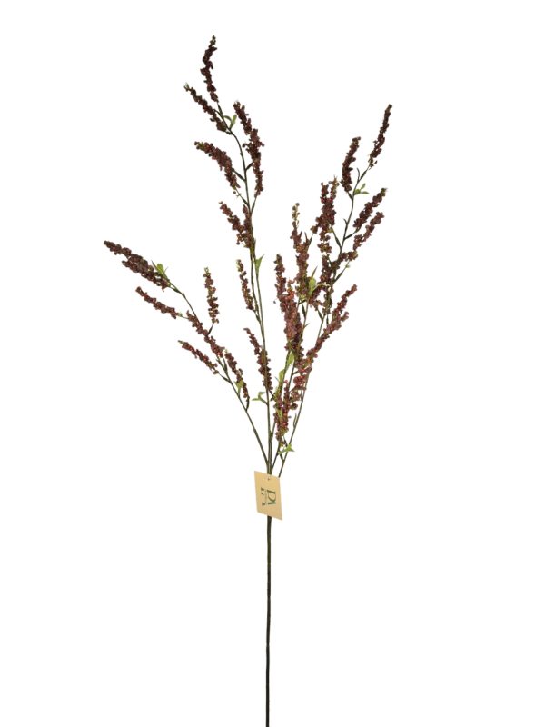 Bruidsbloem, Bordeaux, 107cm. (Leverbaar augstus)