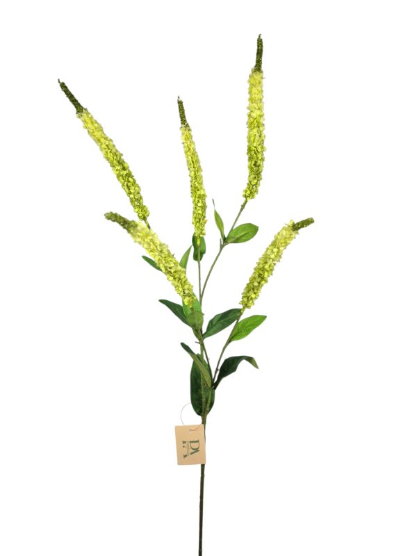 Veronica, Light Green, 92cm. (Leverbaar augstus)