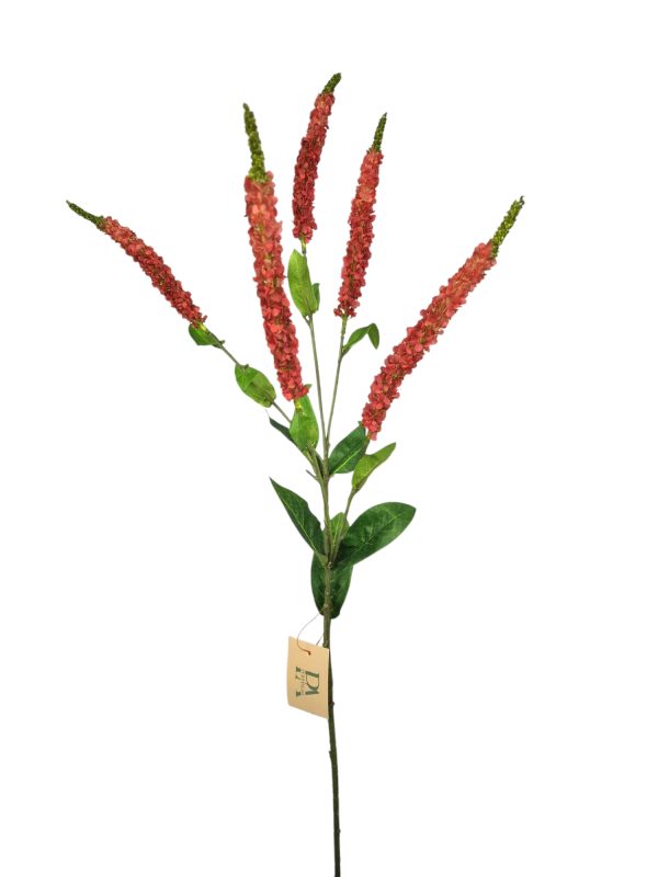 Veronica, Hot Pink, 92cm. (Leverbaar augstus)