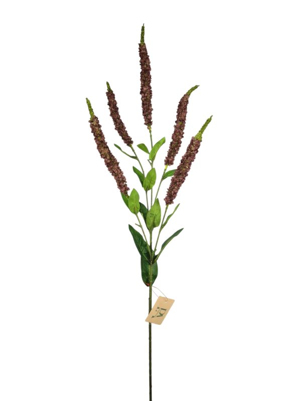 Veronica, Bordeaux, 92cm. (Leverbaar augstus)