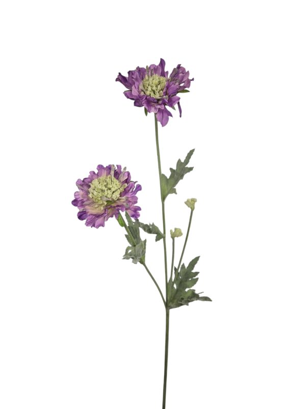 Scabiosa, Purple, Flocked, 2 Heads, 2 buds, 64cm