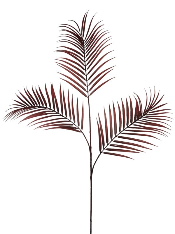 Varen, Mannetjes, Red, Wired, 95cm