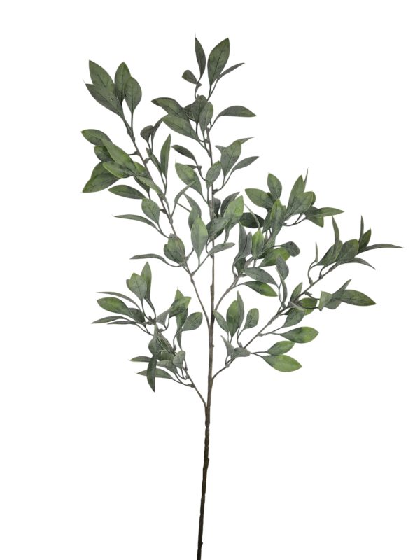 Artimisia vulgaris, Green, 96cm.
