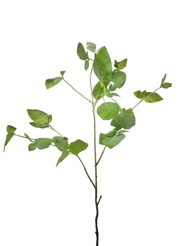 Green Mobidic, Green, 100cm (Leverbaar augstus)