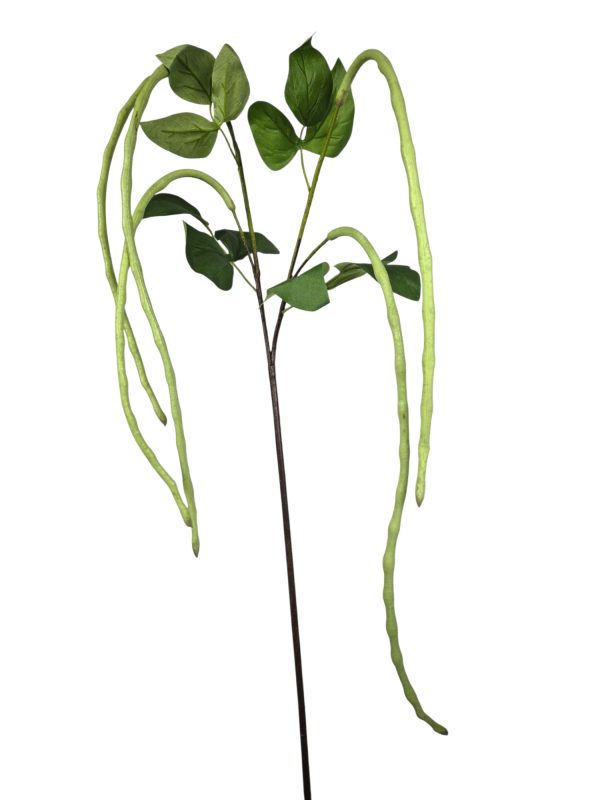 Boon Hangend, Green, 95cm (Leverbaar augstus)