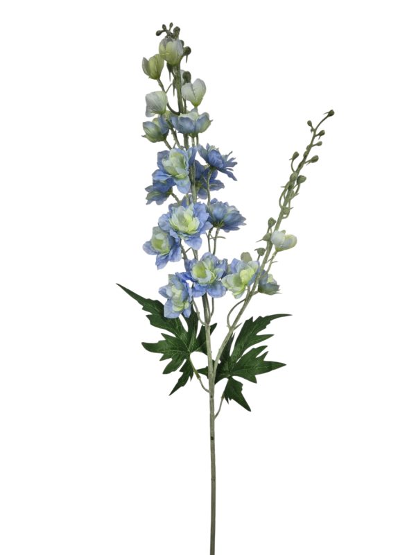 Delphinium, Bleu, 84cm (Leverbaar augstus)