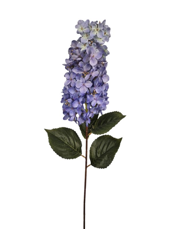 Hydrangea, pluim hortensia, Dark bleu, 85cm