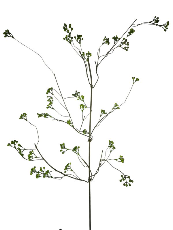 Rozenbottel xl, Green, 150cm (Leverbaar augstus)