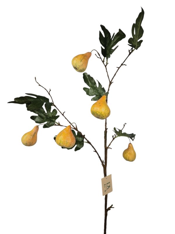 Peren tak, Brown Green, 98cm (Leverbaar augstus)