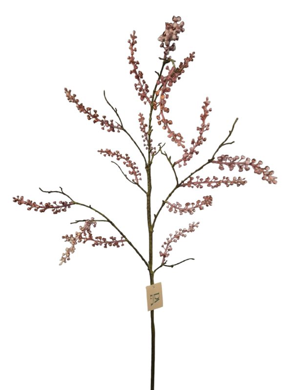 Phytolacca, Pink, 115cm (Leverbaar augstus)