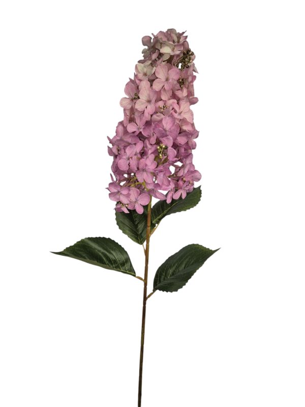Hydrangea, pluim hortensia, Pink, 85cm