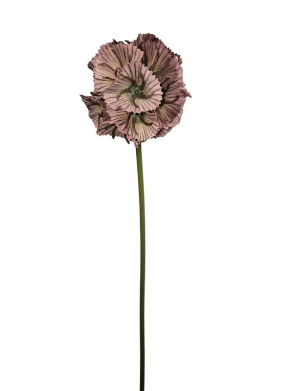 Scabiosa, 60cm, Wired, Pink