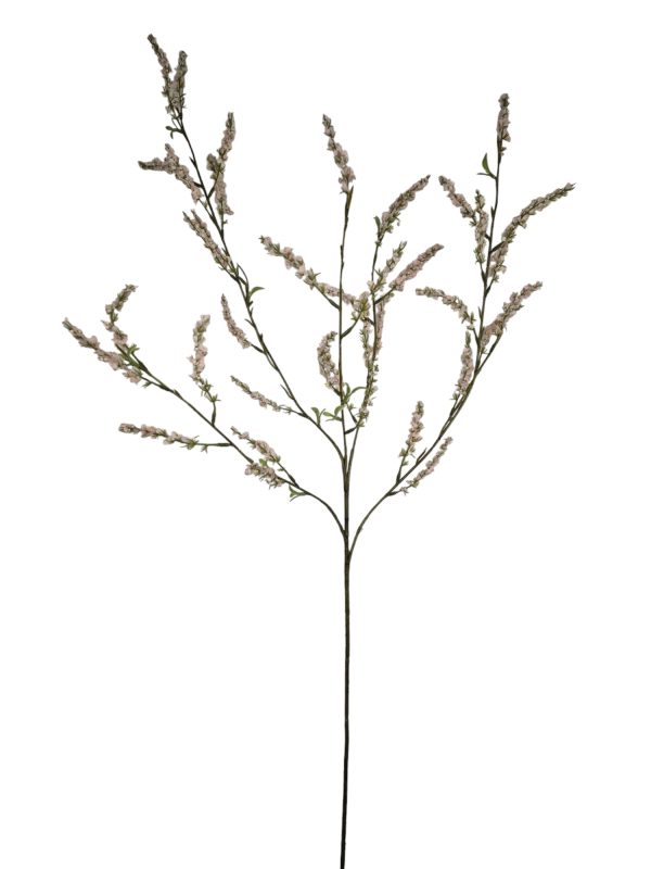 Deutzia, Bruidsbloem, Pink, 110cm