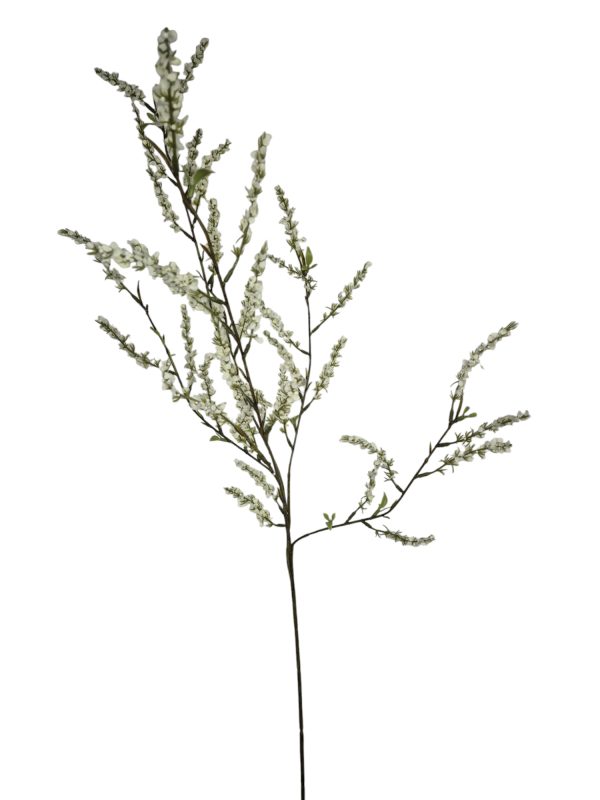 Deutzia, Bruidsbloem, White, 110cm