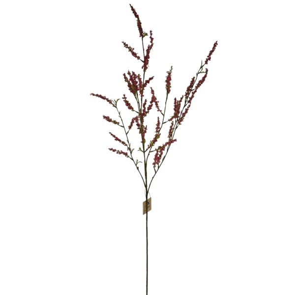 Deutzia, Bruidsbloem, Pink, 110cm