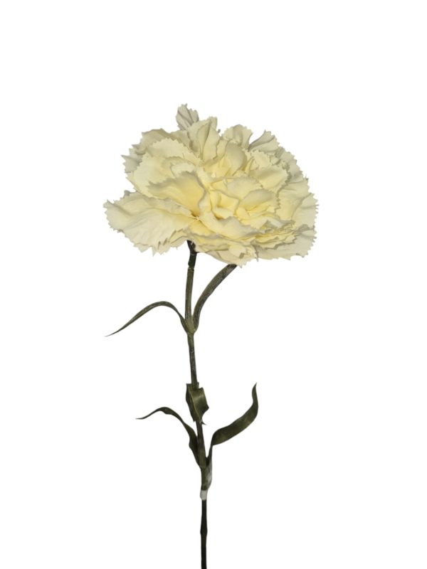 Anjer, 56cm creme