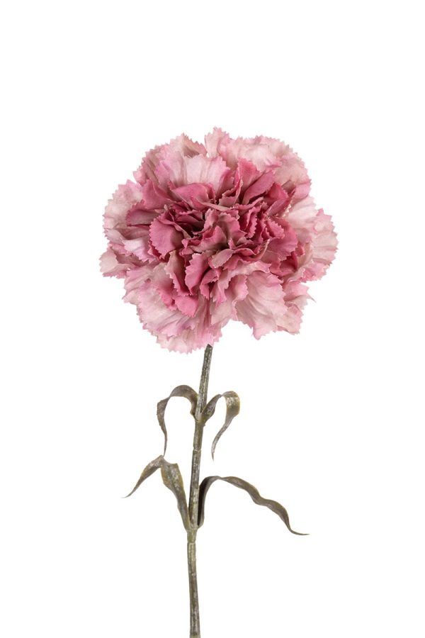 Anjer, 56cm oud roze