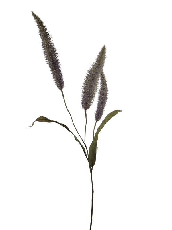 Pennisetum, 92cm lila