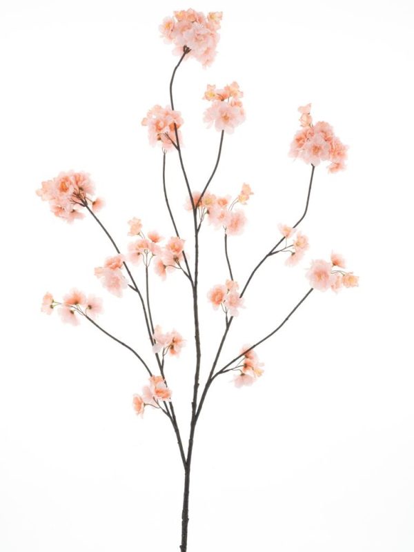 Prunus Malaga spray lt peach 126cm