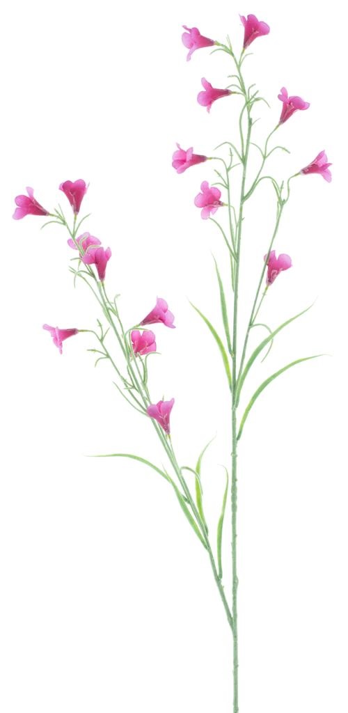 Campanula spray reeva aubergine SALE € 3,25 NU