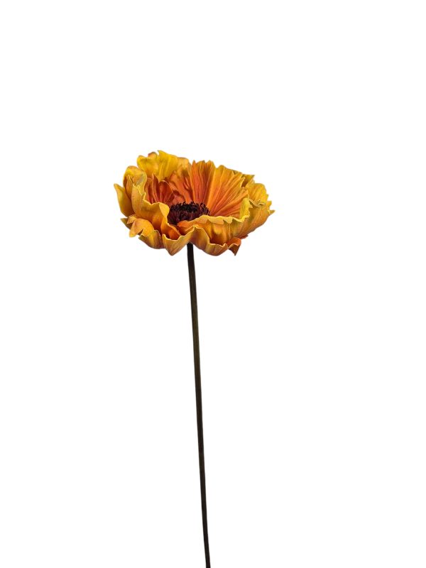Anemone spray orange
