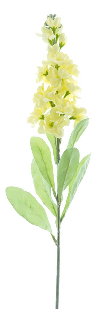 Violier Oslo yellow 79cm