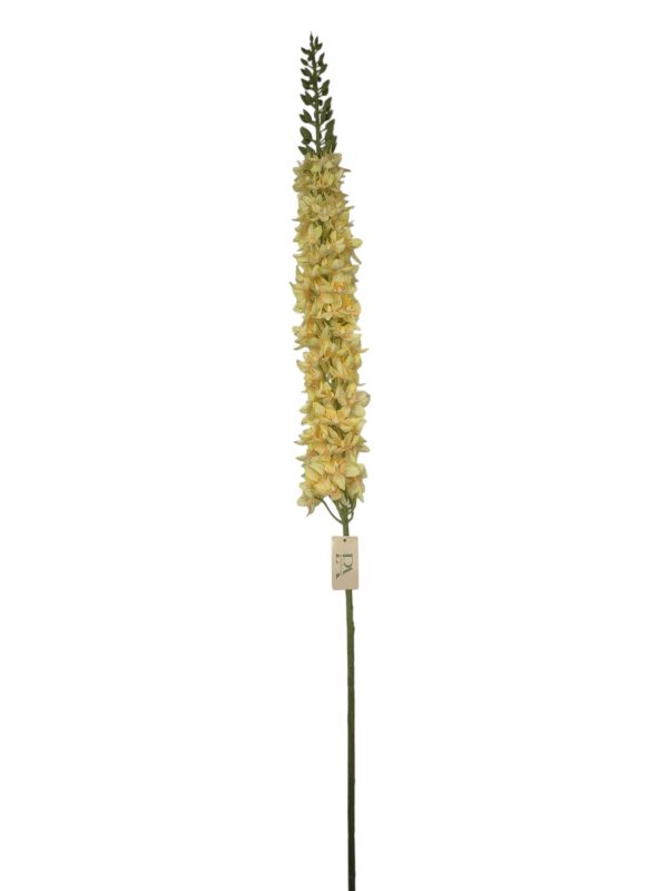Lupinus spray peach 109cm