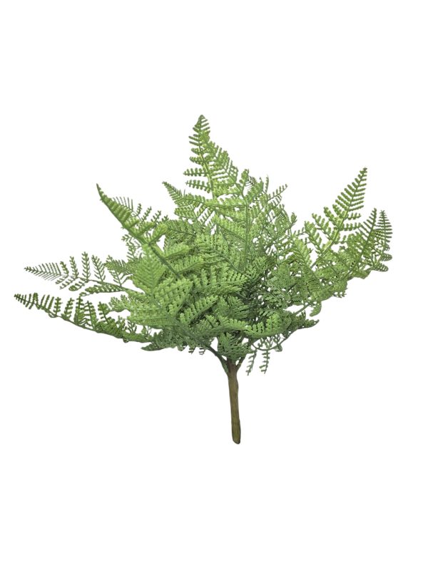 Varen fine, Green, bush, 38cm