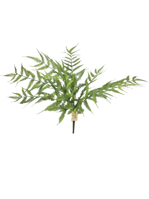 Varen Bush, Green, 70cm