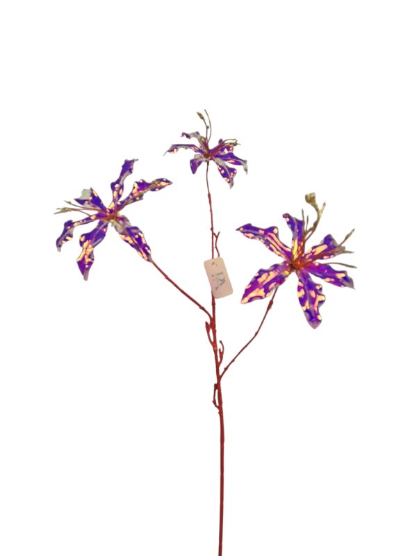 Gloriosa Glass, Fuchsia, 75cm