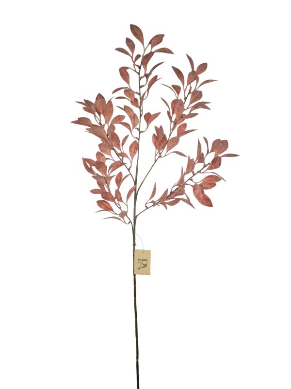 Artimisia vulgaris, pink, 98cm.